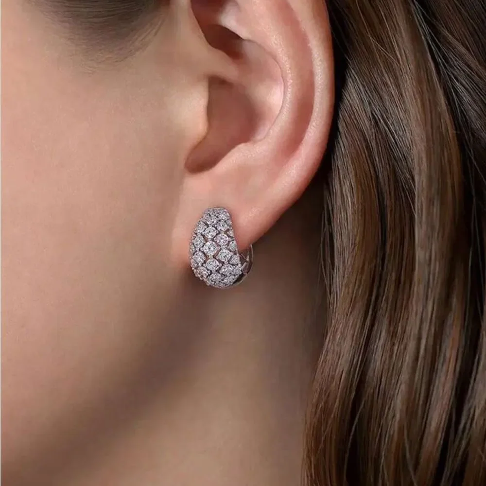 Elegant Silver Earrings M1373